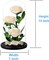 White Roses Handmade Preserved Real Rose in Glass Dome, Long Lasting Roses Never Withered, Birthday Gifts for Women (13 inch)